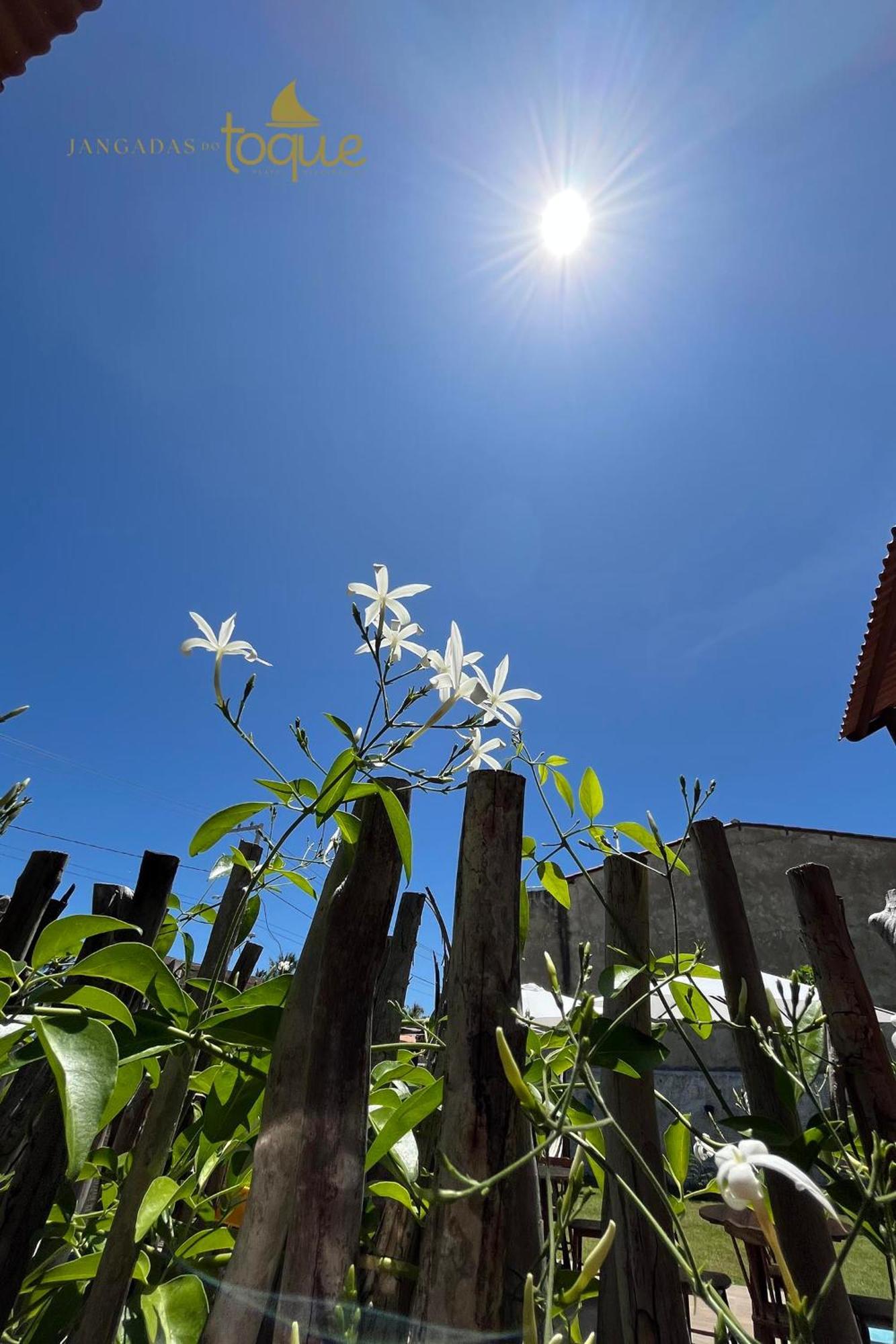 Jangadas Do Toque Milagres Flat 1 Terreo Sao Miguel dos Milagres Ngoại thất bức ảnh